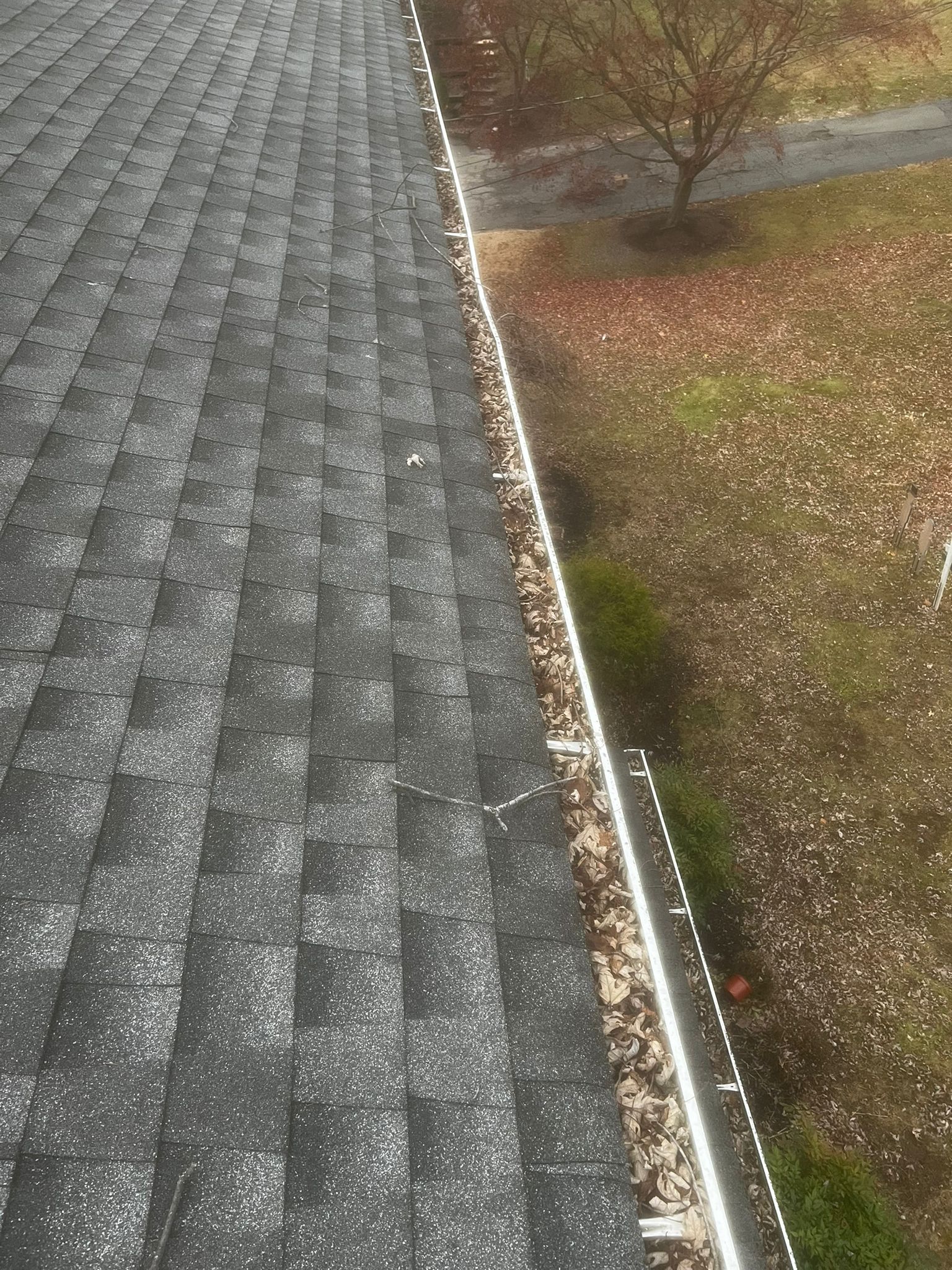 Gutter cleaning