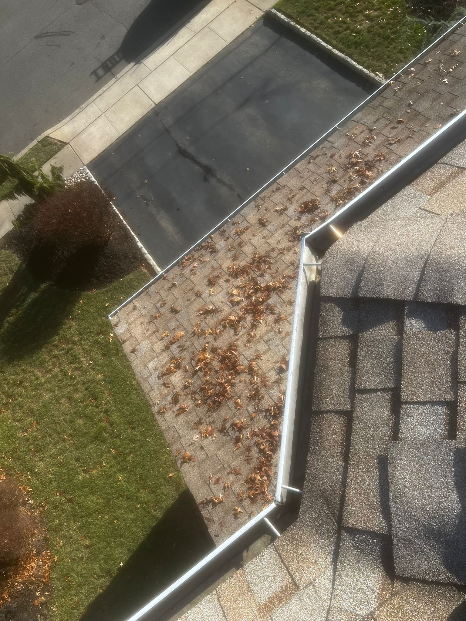 Gutter cleaning