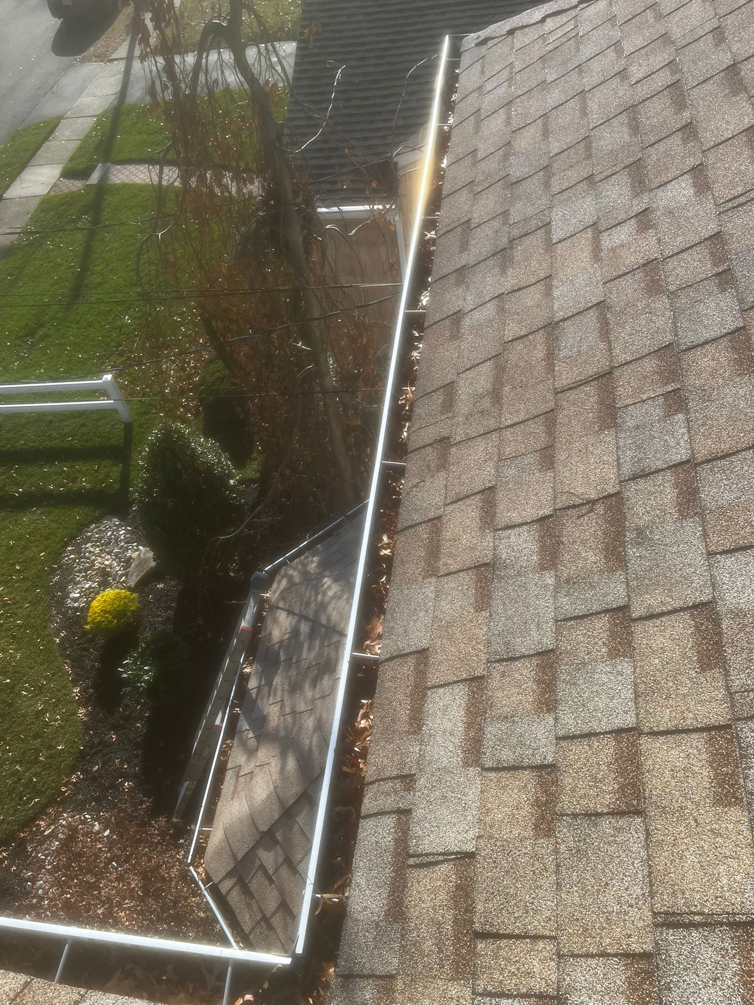 Gutter cleaning