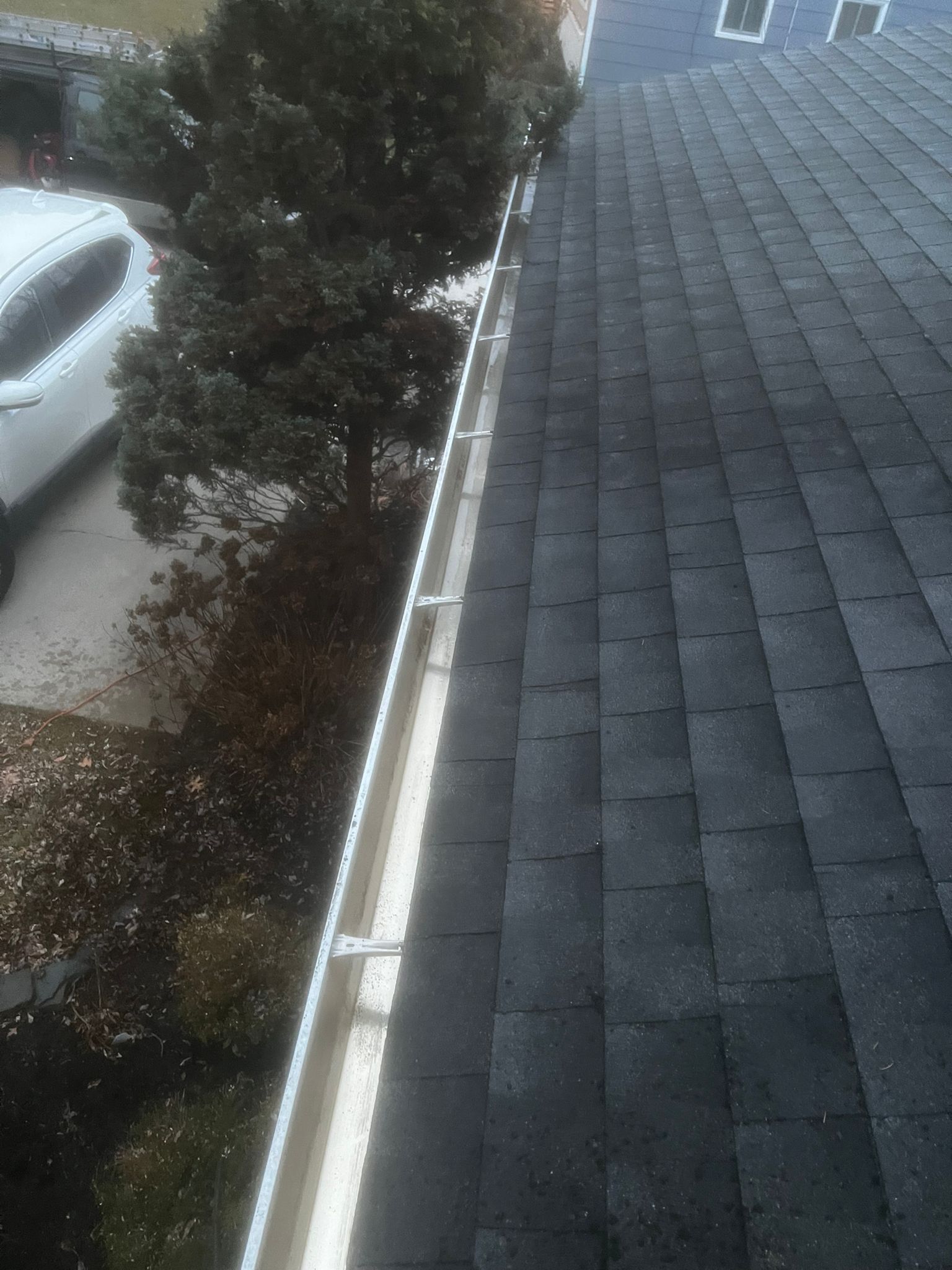 Gutter cleaning