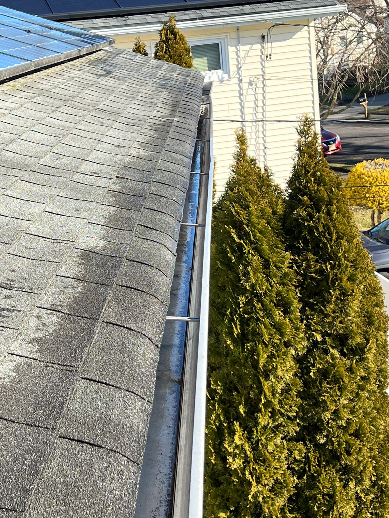 Gutter cleaning